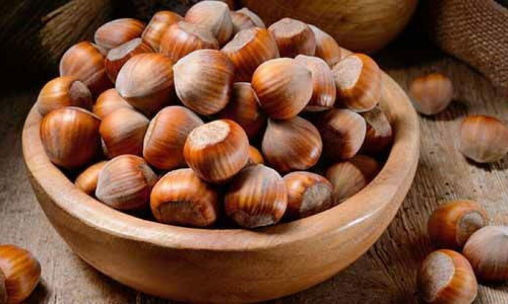 Nocciole