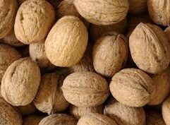 Noci
